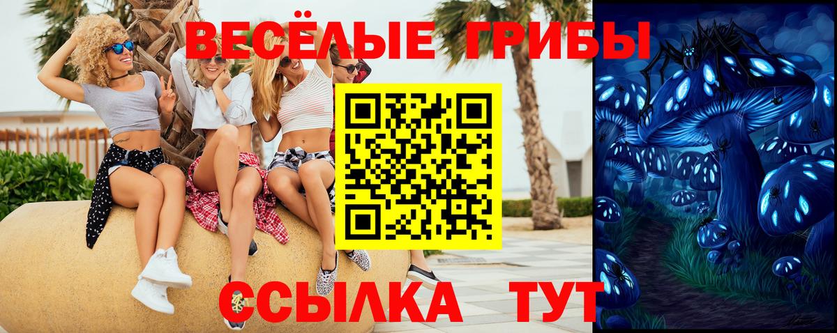Петропавловск-Камчатский  Псилоцибиновые грибы Cubensis  Вход с VPN 